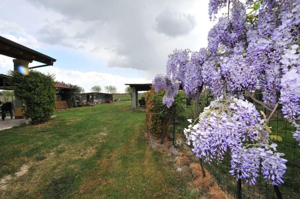 Agriturismo Lizzarola Peschiera del Garda Esterno foto